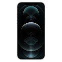 iPhone 12 Pro Max (Double SIM - 6.7" - 256 Go) Argent