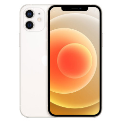 iPhone 12 (6,1