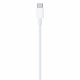 Apple MLL82 - Câble USB Type-C à Type-C (2m, Blanc) - Original, Blister